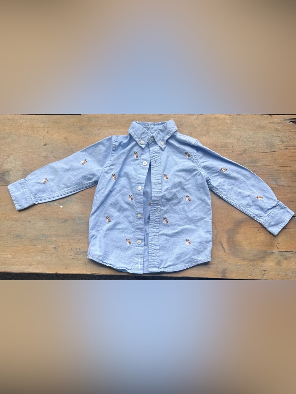 Janie and Jack Light Blue Puppy Embroidered Button-Down Shirt